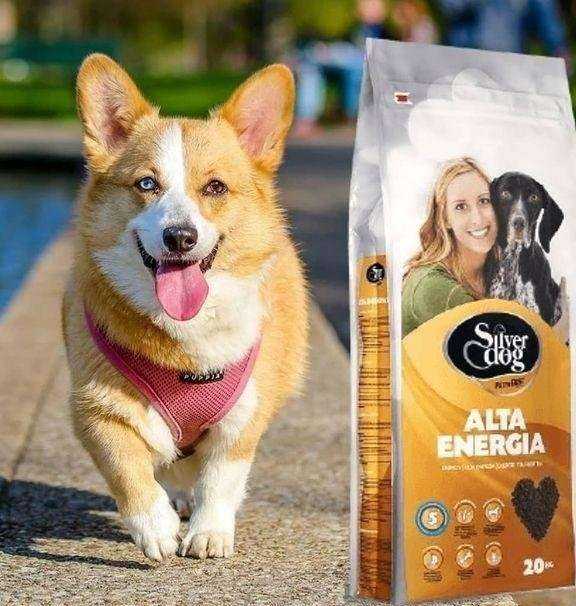 Отзывы на компанию Зоомир в Сатке c фото