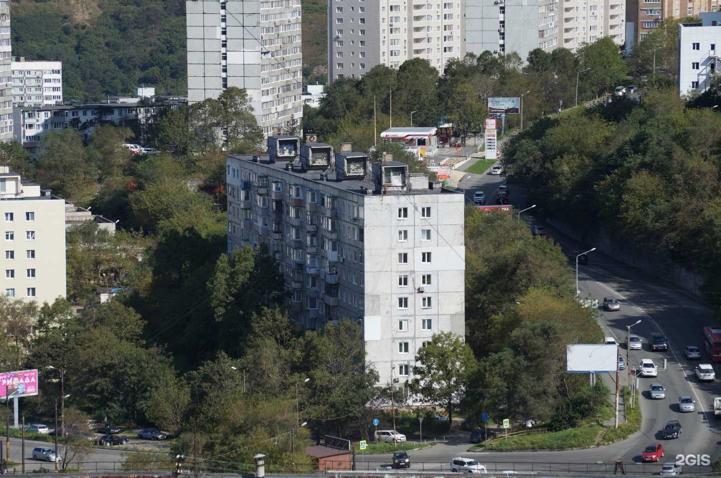 Отзывы на компанию Студия груминга в Владивостоке c фото - фотография 2 из 2