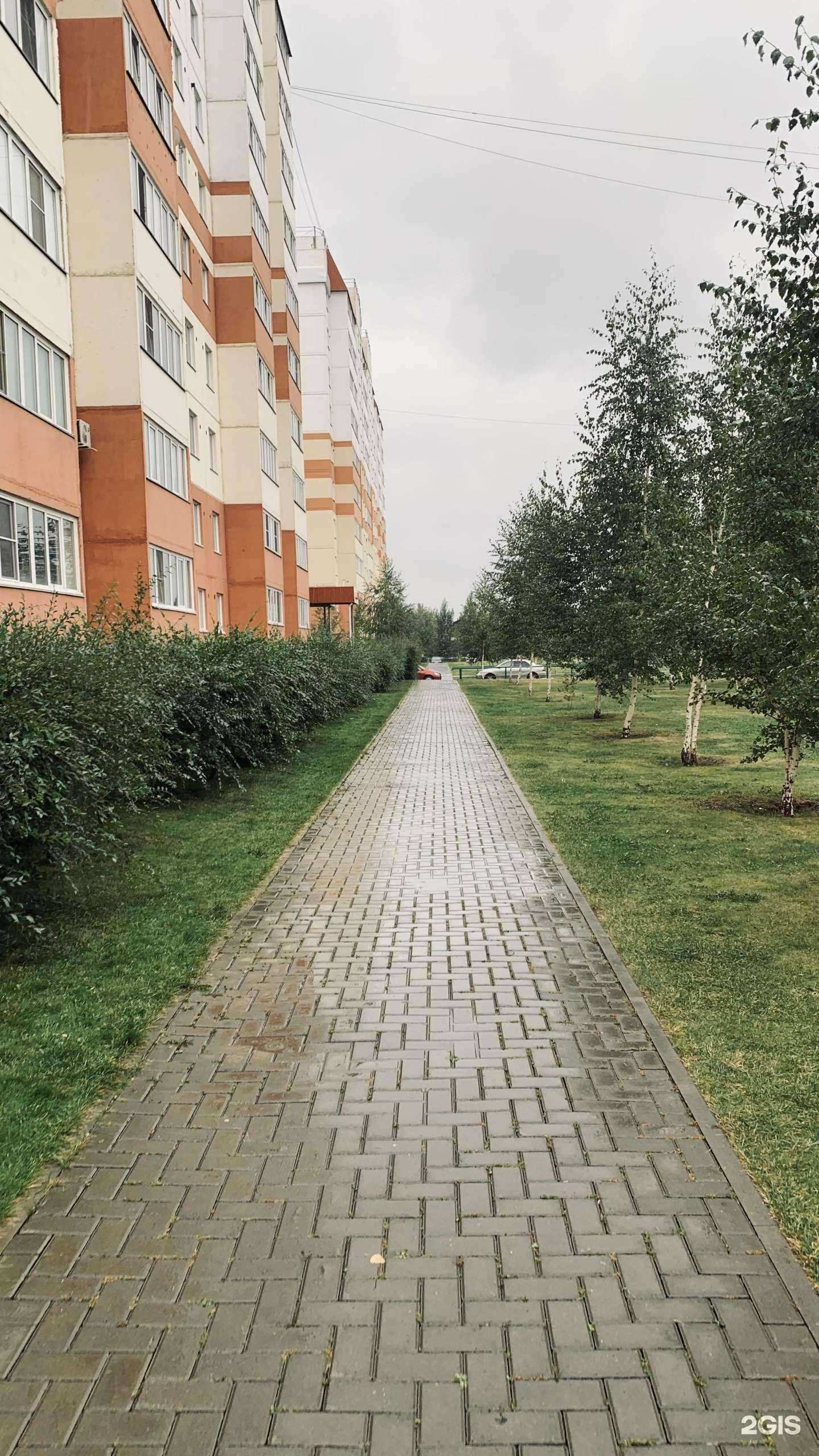 Отзывы на компанию Птичка в Барнауле c фото - фотография 2 из 2