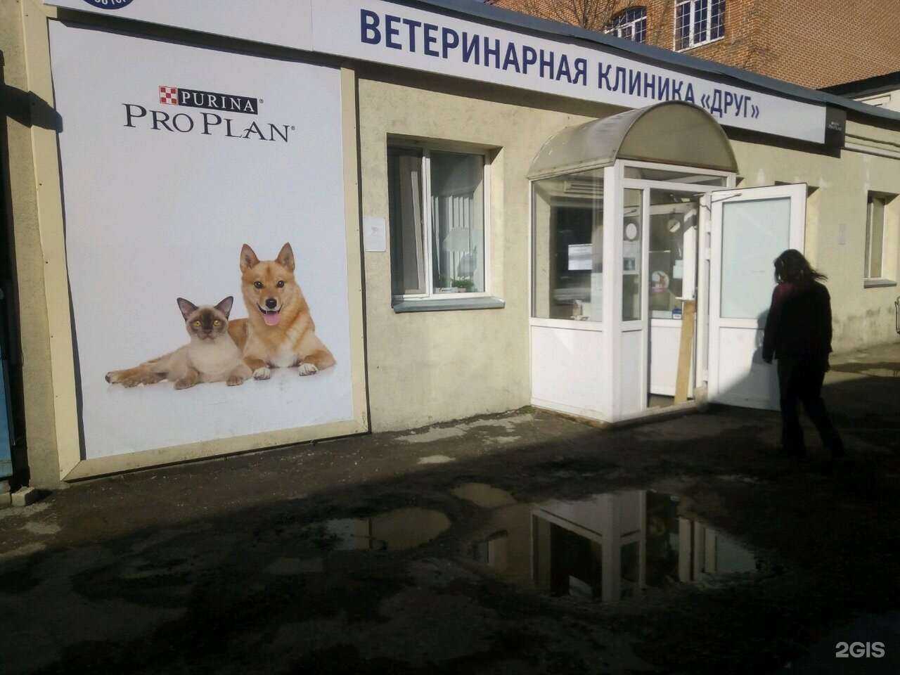 Отзывы на компанию Друг в Самаре c фото