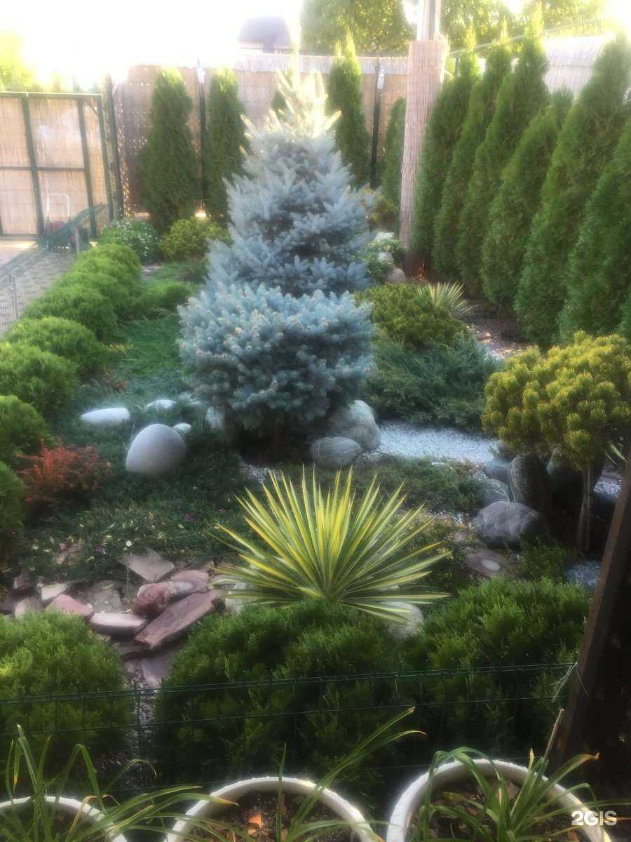 Отзывы на компанию Садовая коллекция в г. Волгоград c фото