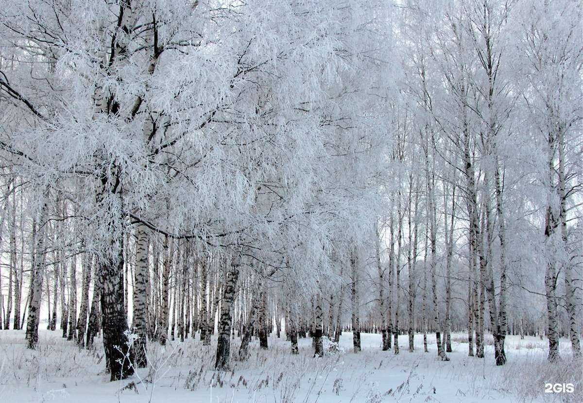 Отзывы на компанию Клевер в Новосибирске c фото