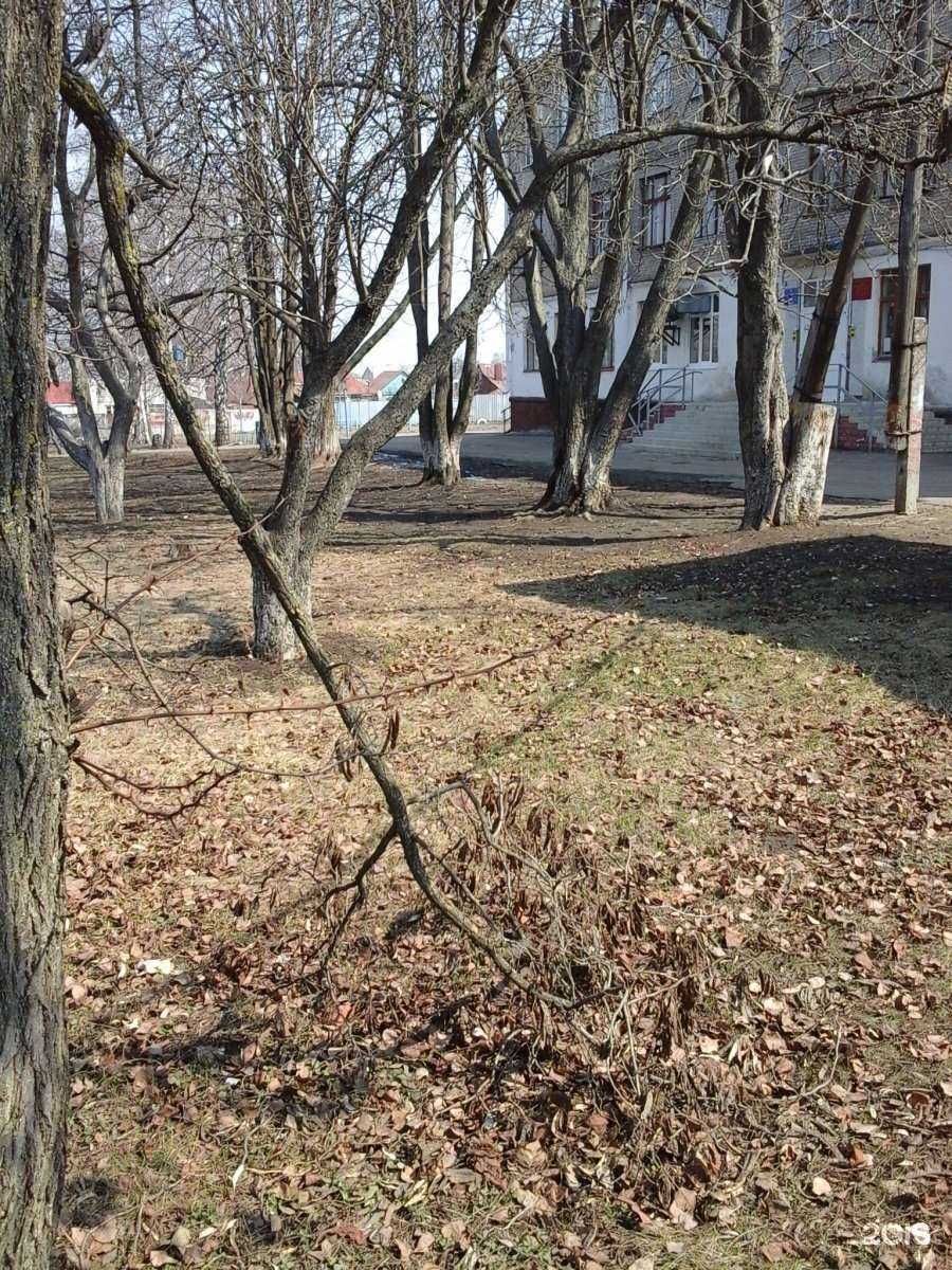 Отзывы на компанию Средняя школа №33 в г. Тамбов c фото