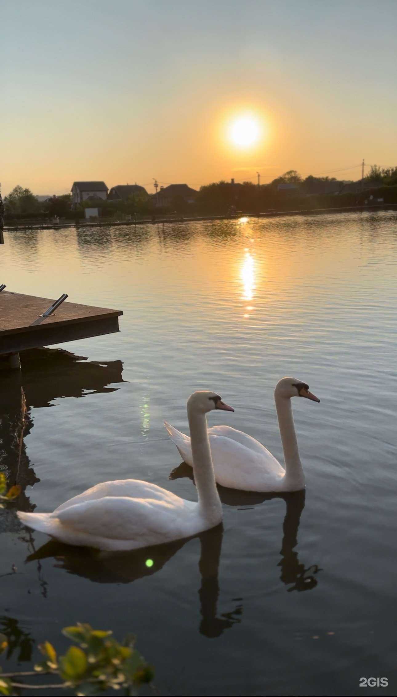 Отзывы на компанию Family Park в Белгороде c фото