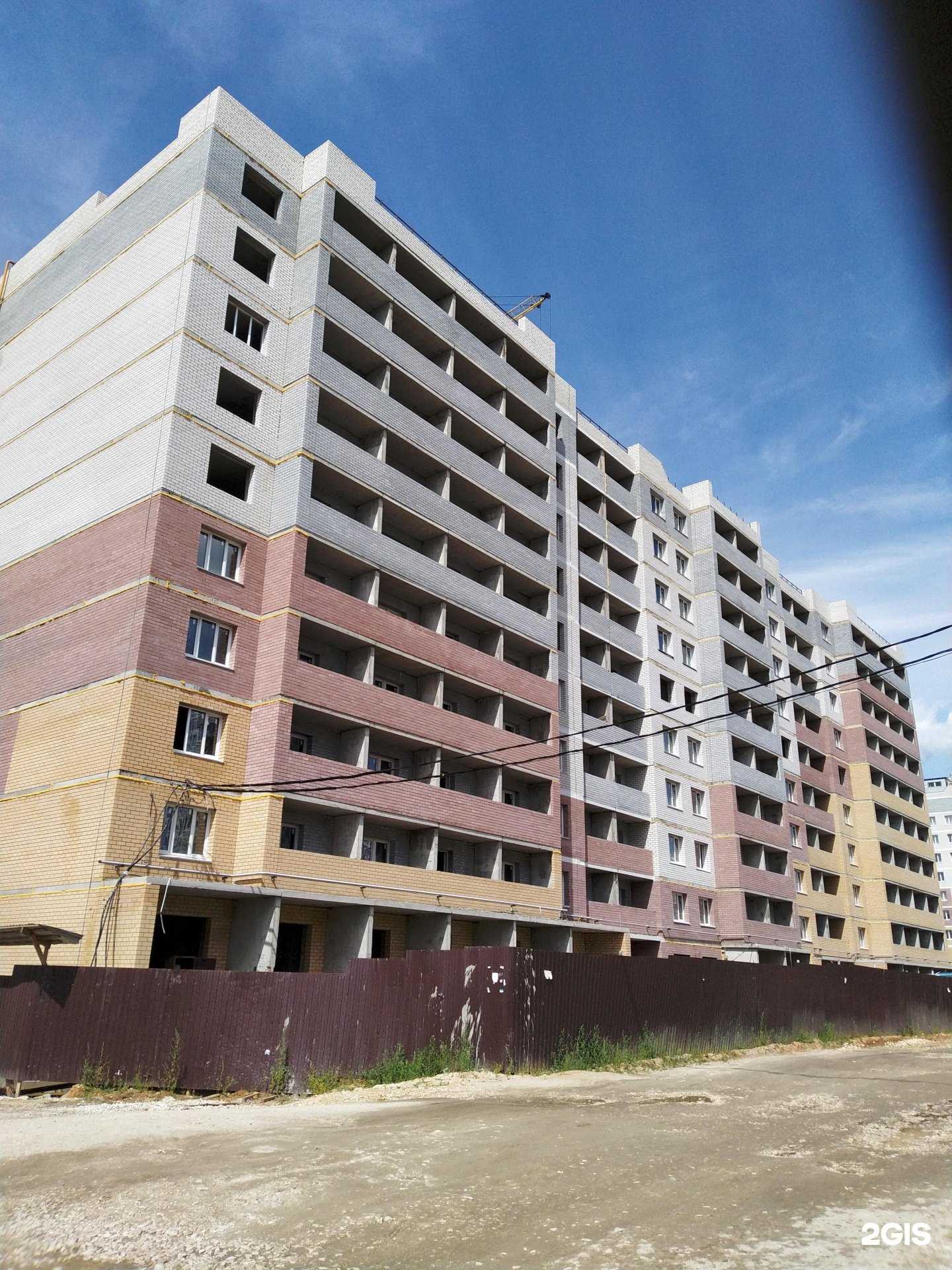 Отзывы на компанию Мокрый нос в Коврове c фото