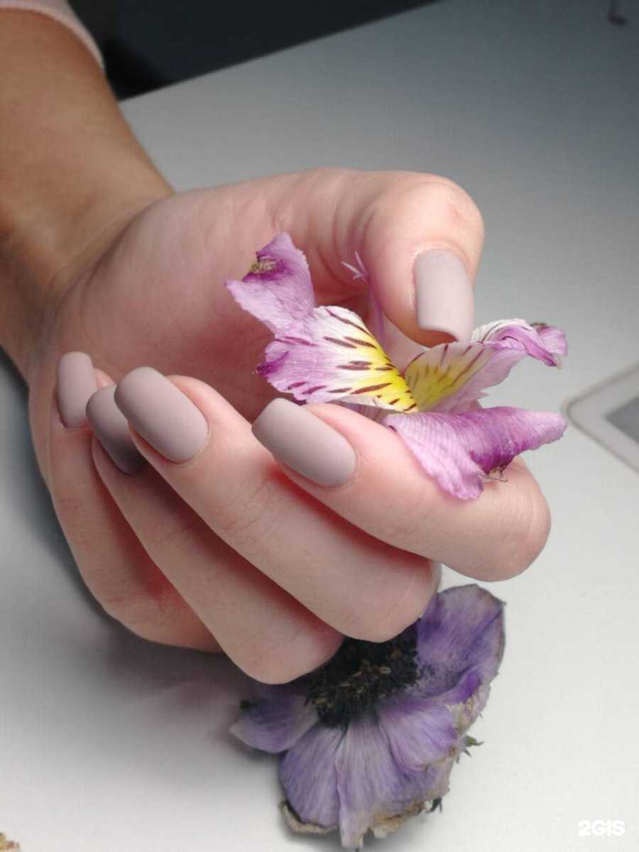 Отзывы на компанию Dim Dam Dom в Самаре c фото