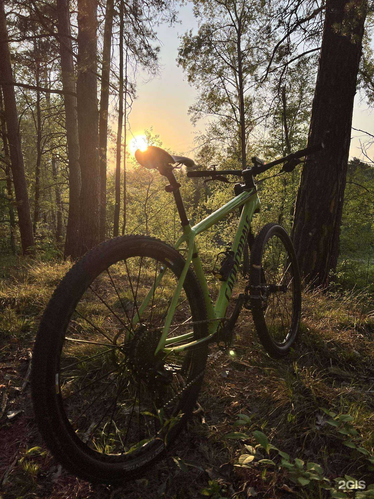 Отзывы на компанию Центр проката и ремонта велосипедов и роликовых коньков в Барнауле c фото