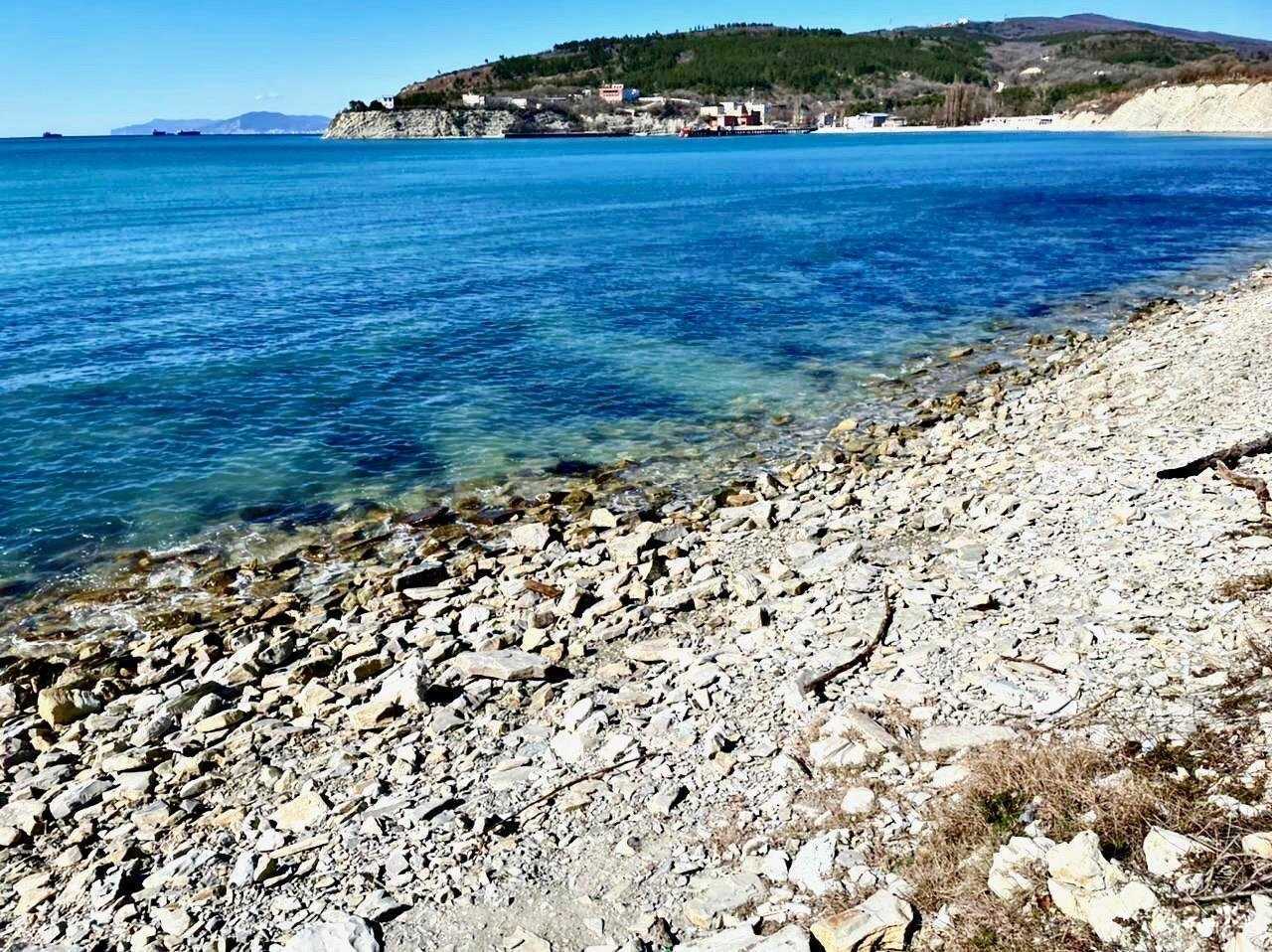 Отзывы на компанию Daniely в Геленджике c фото