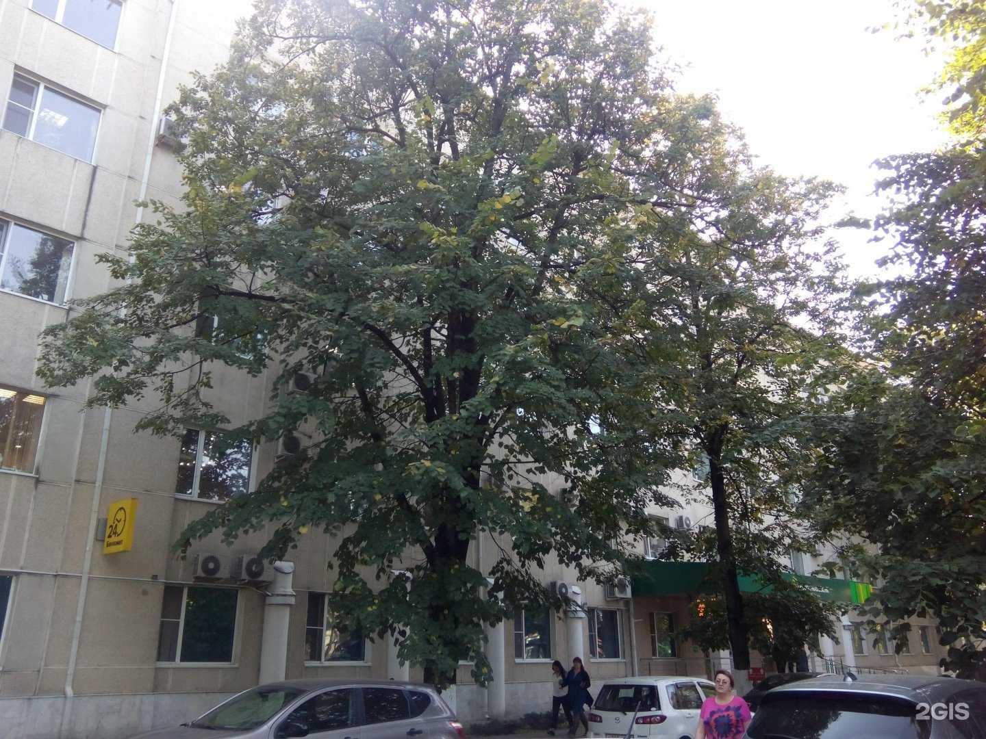 Отзывы на компанию РСХБ-Страхование в Краснодаре c фото