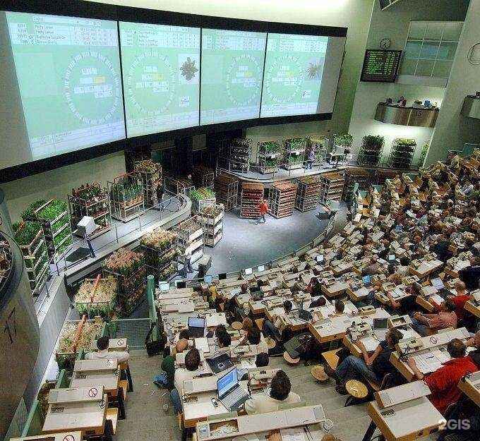 Отзывы на компанию Виталиса фловер в Ессентуках c фото