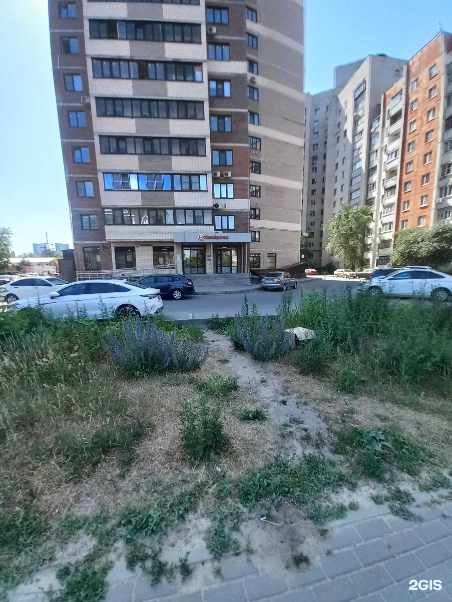 Отзывы на компанию Фармия в Воронеже c фото