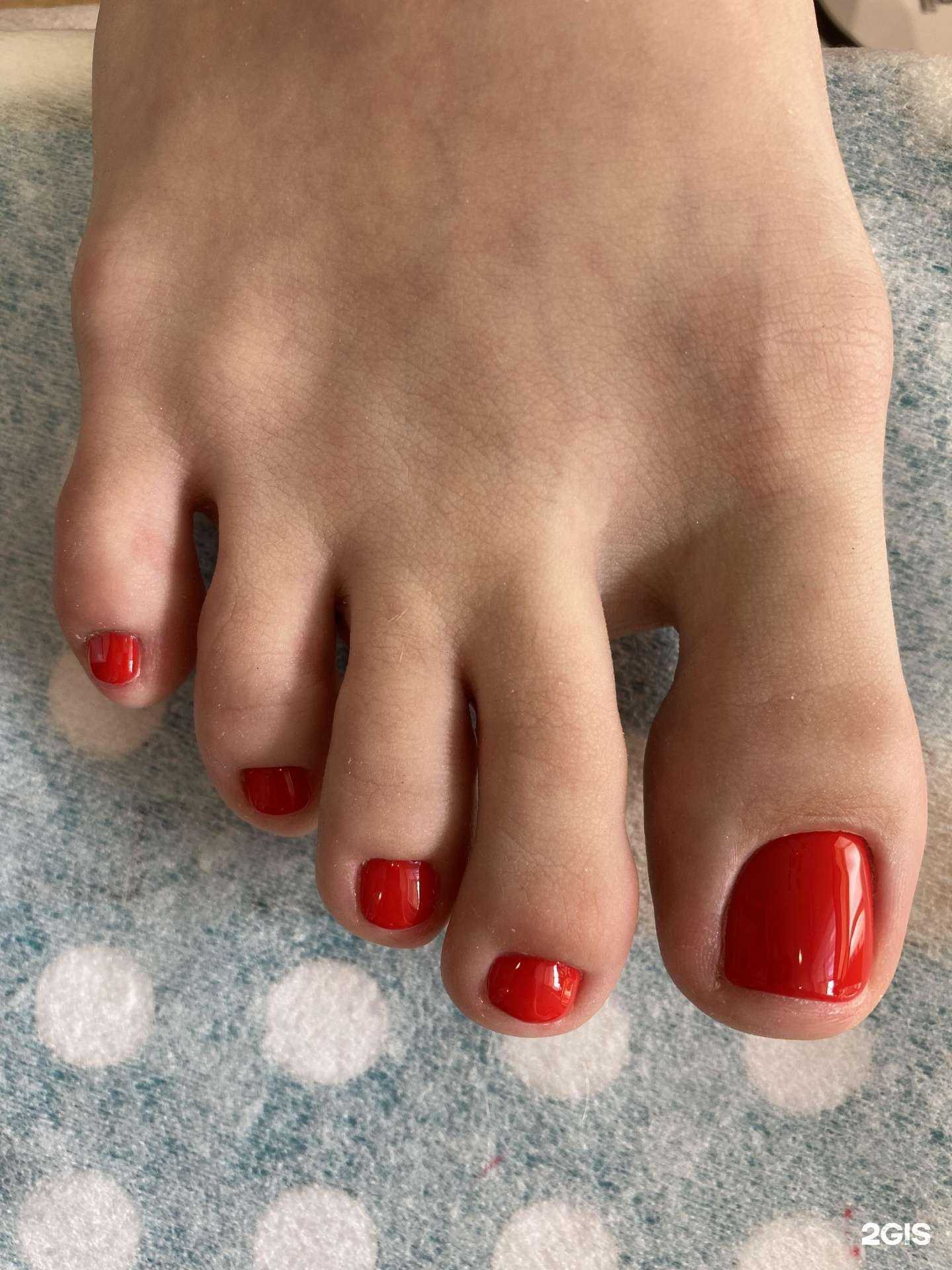 Отзывы на компанию Pink-studio в Новосибирске c фото