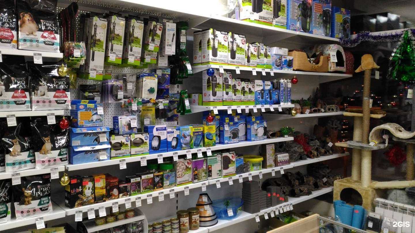 Отзывы на компанию Lucky hamster в Набережных Челнах c фото