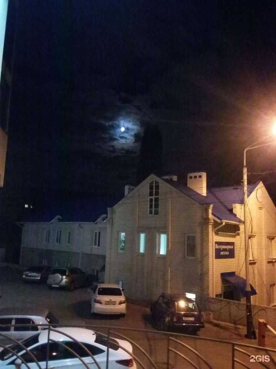 Отзывы на компанию Воронежская городская станция по борьбе с болезнями животных в Воронеже c фото