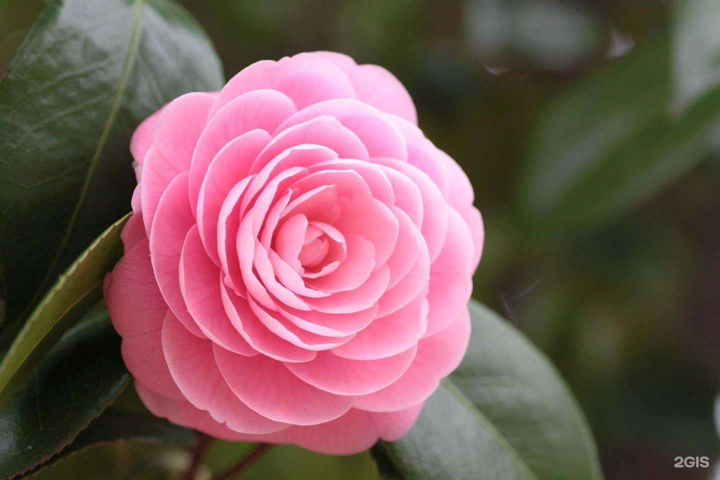 Отзывы на компанию Эс-Класс в Ростове-на-Дону c фото