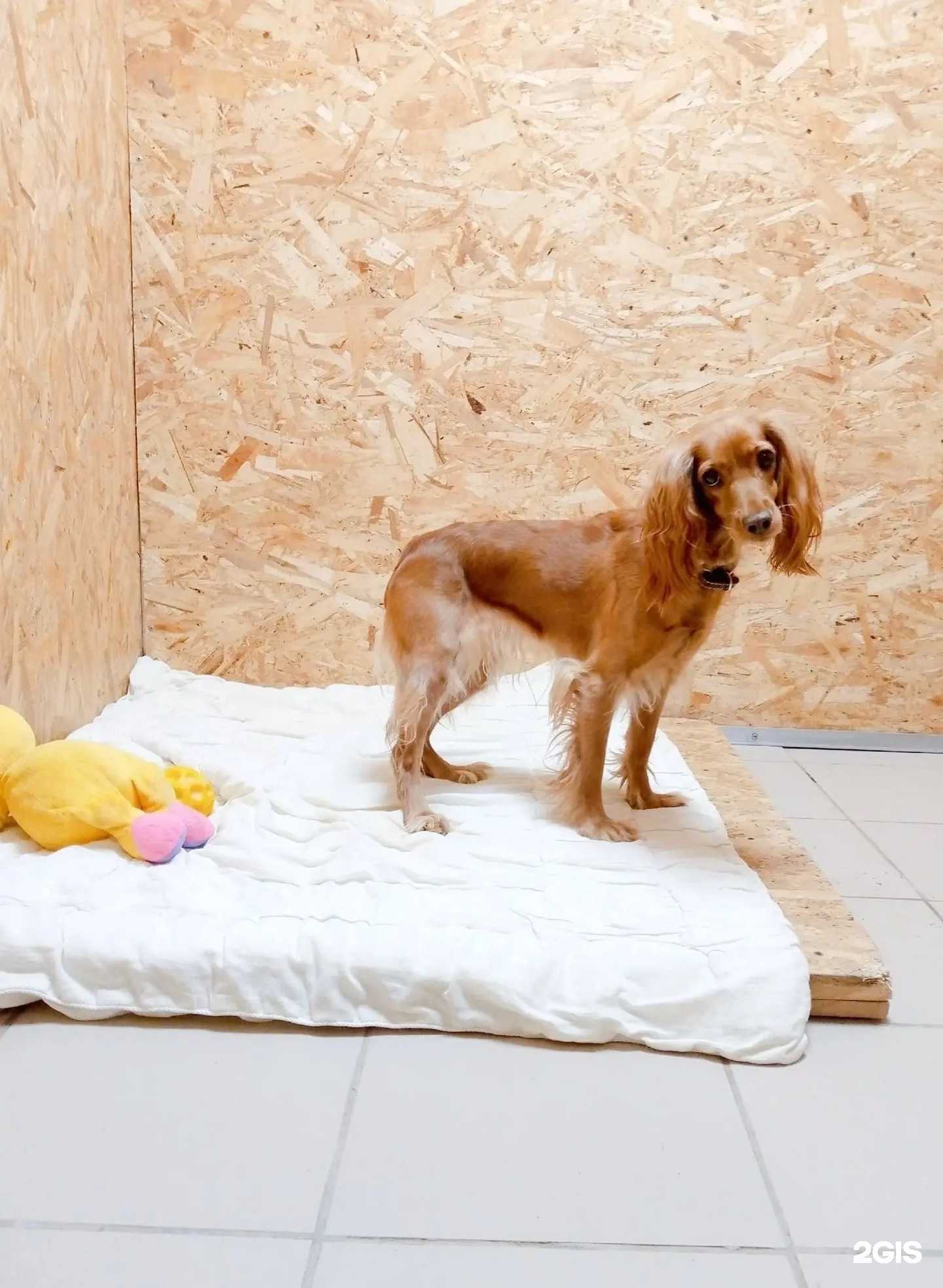 Отзывы на компанию Друг в г. Киров c фото