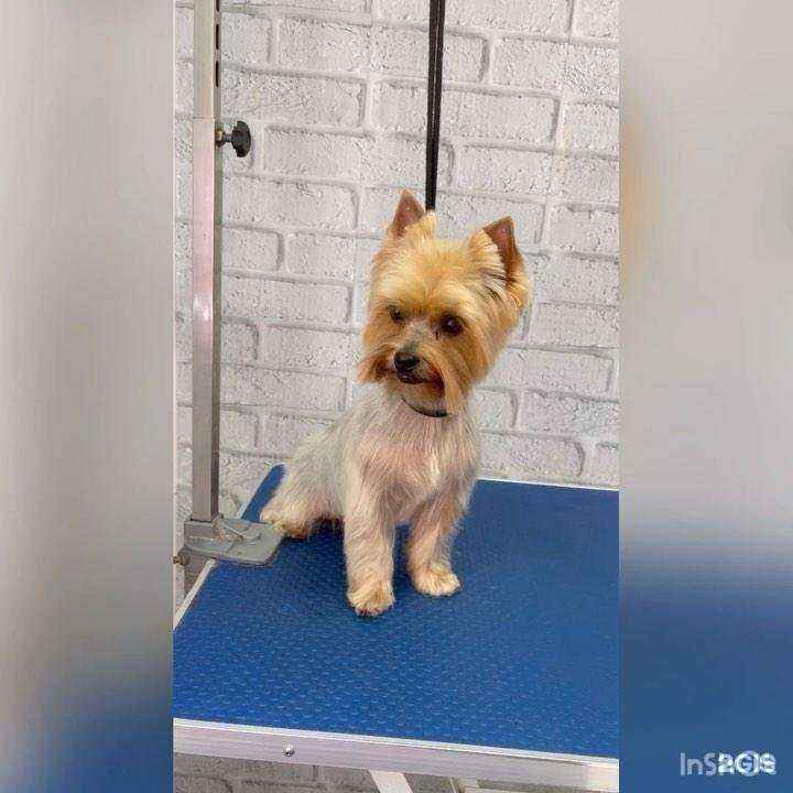 Отзывы на компанию Василек в Дзержинске c фото