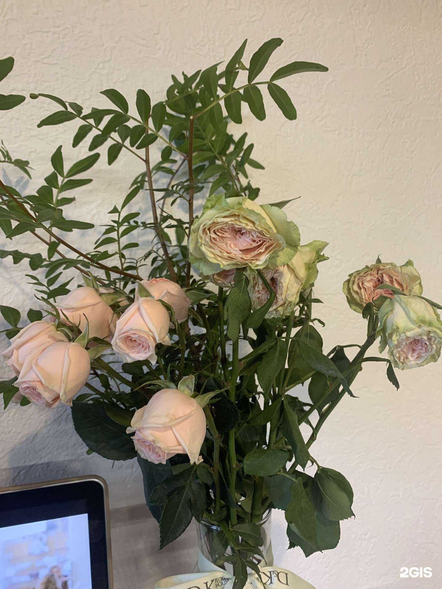 Отзывы на компанию Элен в г. Екатеринбург c фото