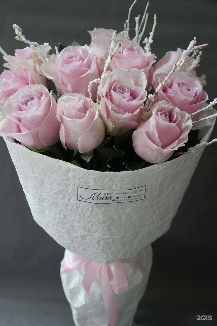 Отзывы на компанию Мича в г. Сыктывкар c фото