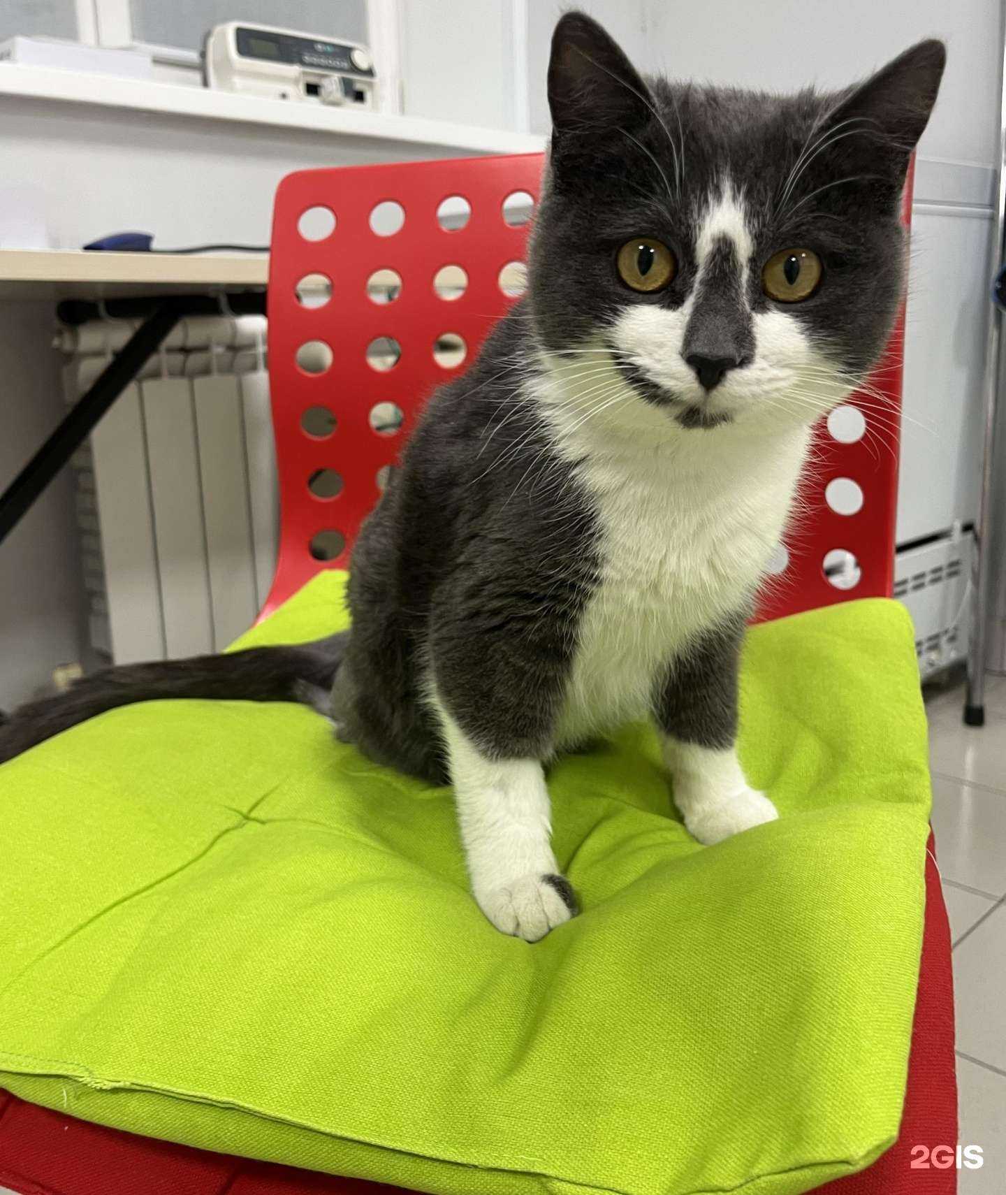 Отзывы на компанию Бона Кэти в Артёме c фото