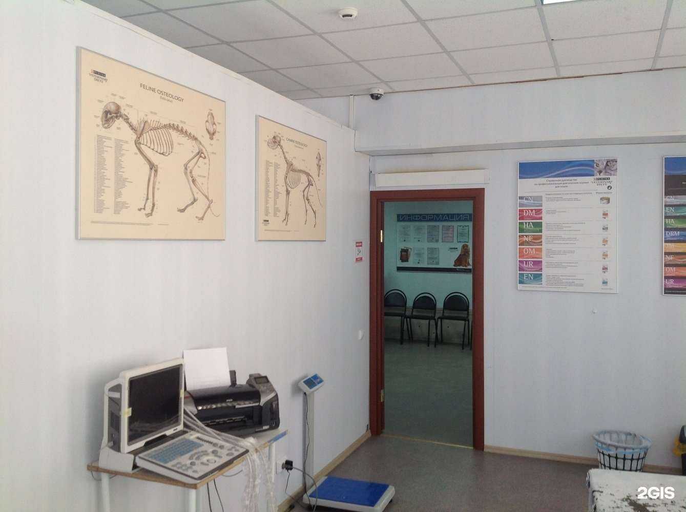 Отзывы на компанию Ветеринарный лазарет в г. Липецк c фото