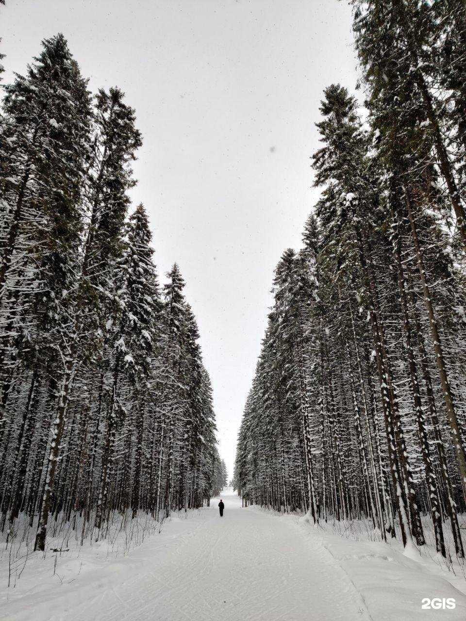 Отзывы на компанию SkiLab в г. Петрозаводск c фото