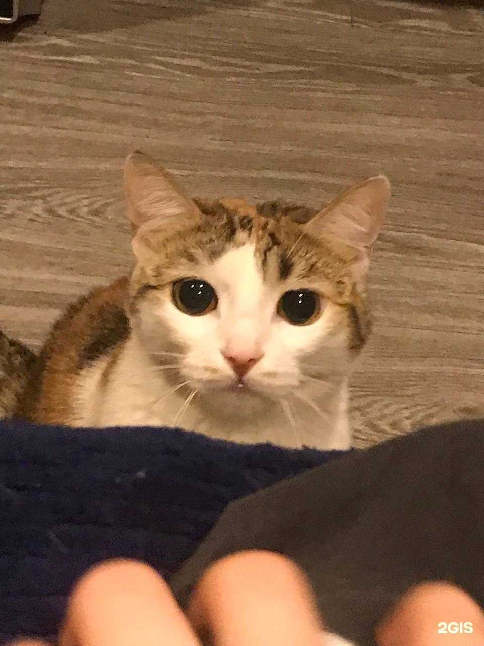 Отзывы на компанию Ковчег в Челябинске c фото