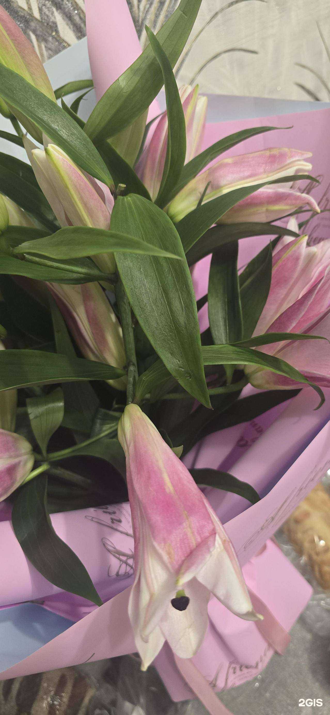 Отзывы на компанию Радуга цветов в г. Красноярск c фото