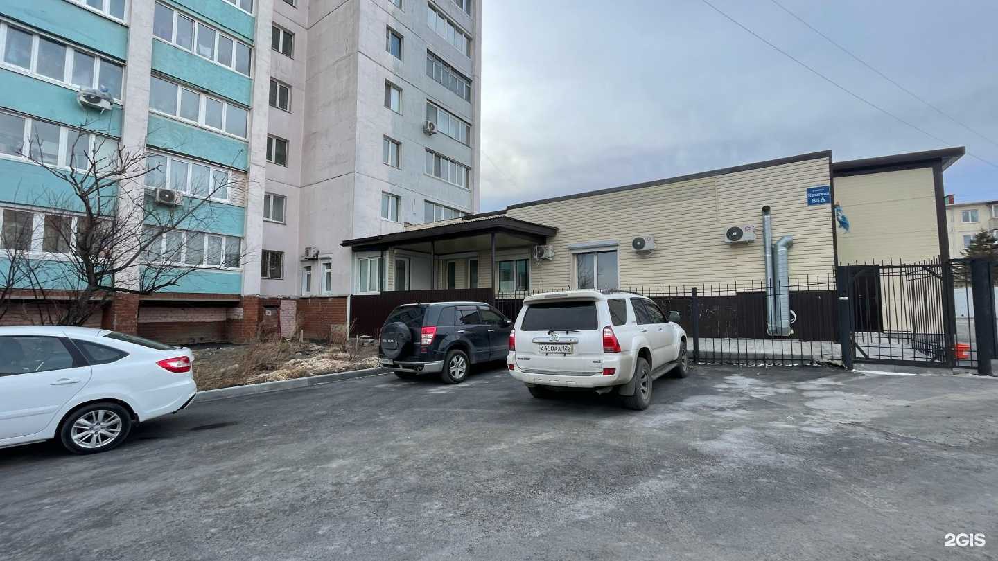 Отзывы на компанию Мудрый Лис в Владивостоке c фото - фотография 2 из 2