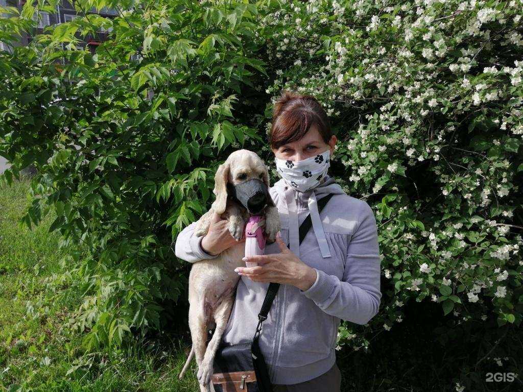 Отзывы на компанию Гимназия №62 в г. Новокузнецк c фото