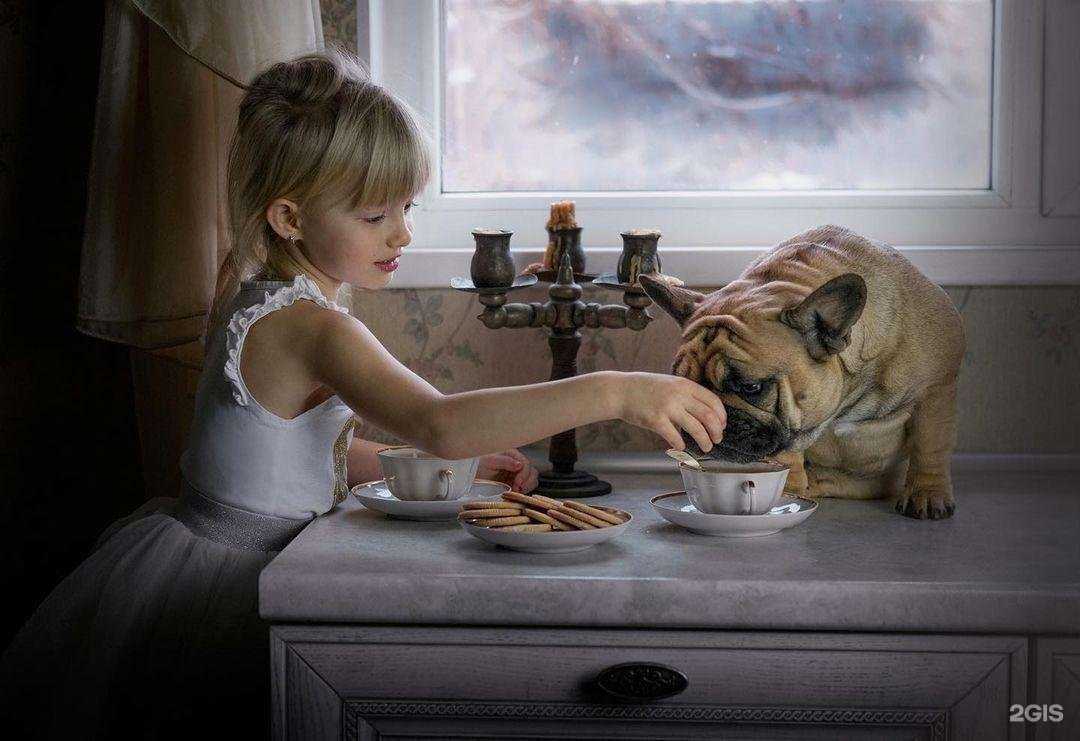 Отзывы на компанию Звездный в г. Астрахань c фото