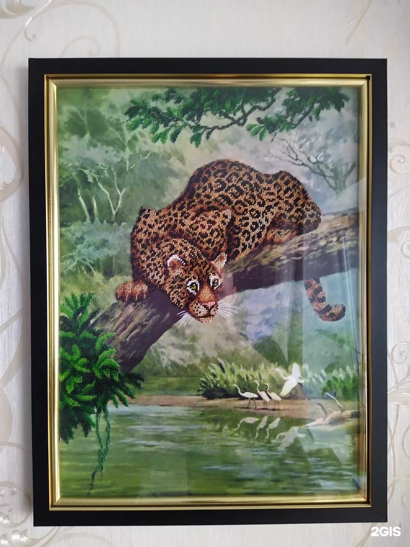 Отзывы на компанию Мир Багета в Кирове c фото