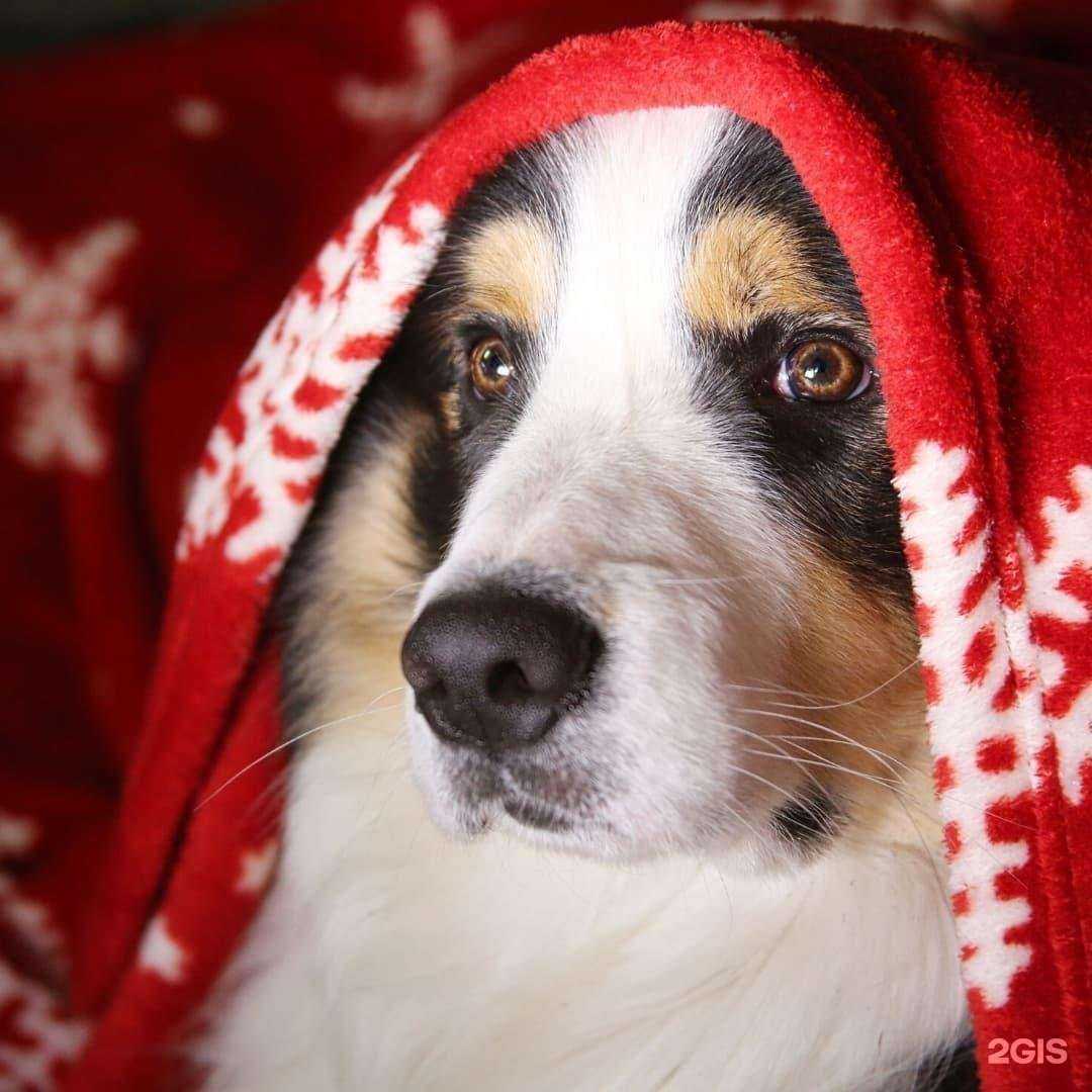 Отзывы на компанию Адель в г. Королёв c фото