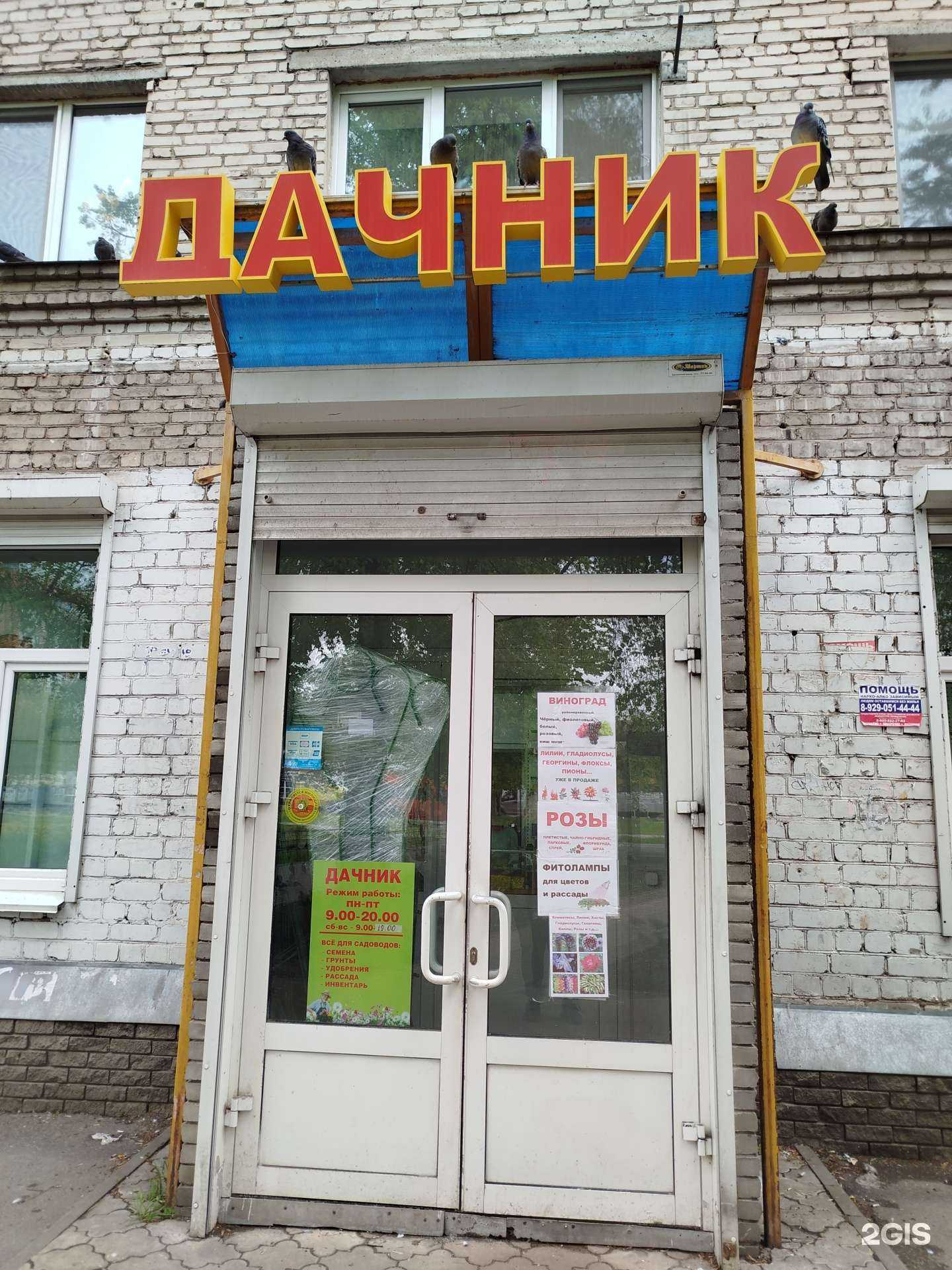 Отзывы на компанию Дачник в Нижнем Новгороде c фото