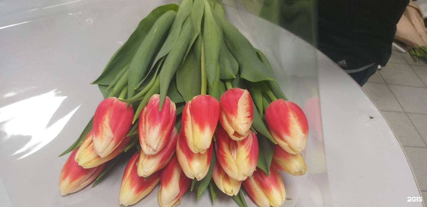 Отзывы на компанию Мальва в Курске c фото