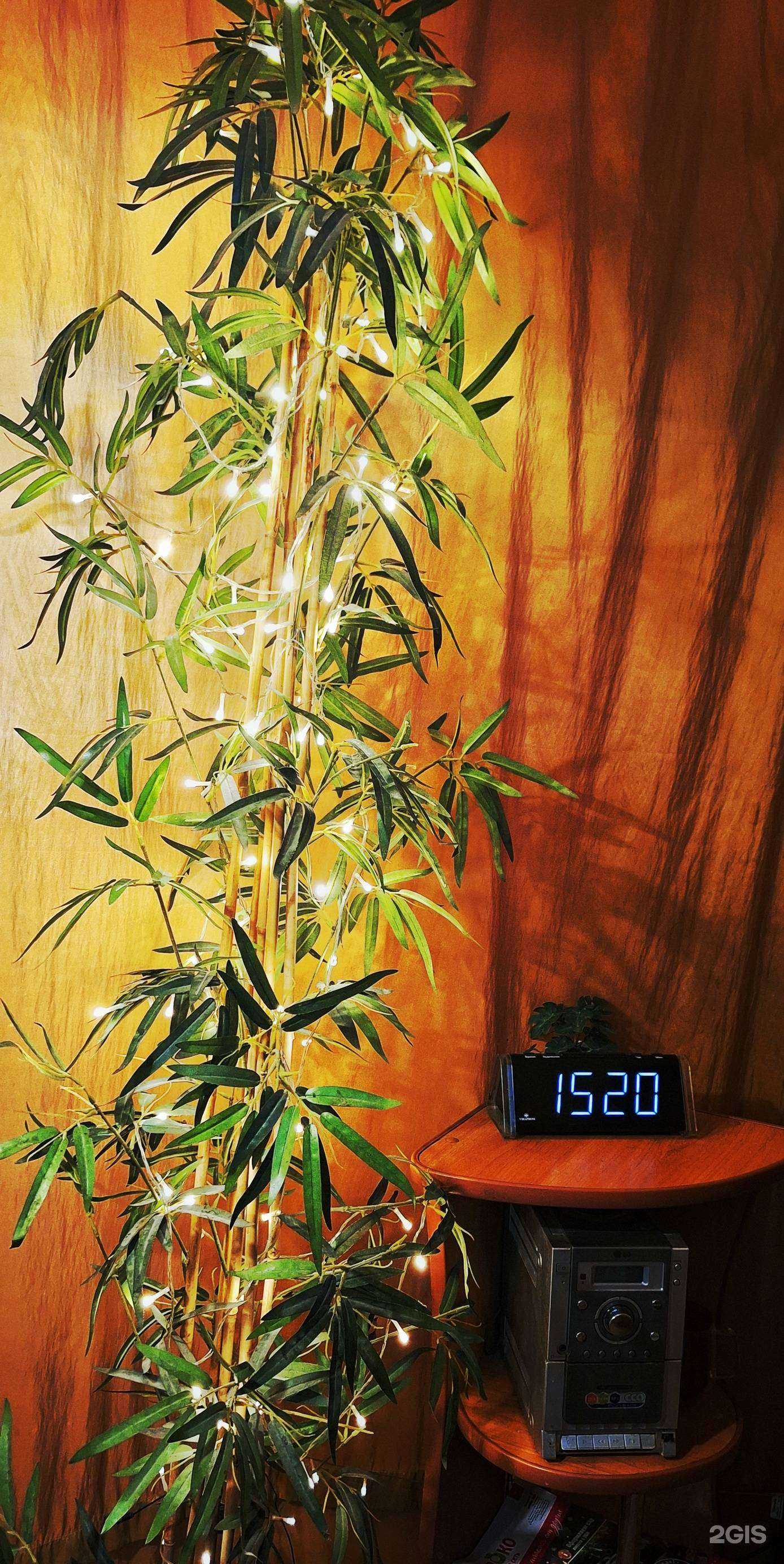 Отзывы на компанию Бразилия в Екатеринбурге c фото