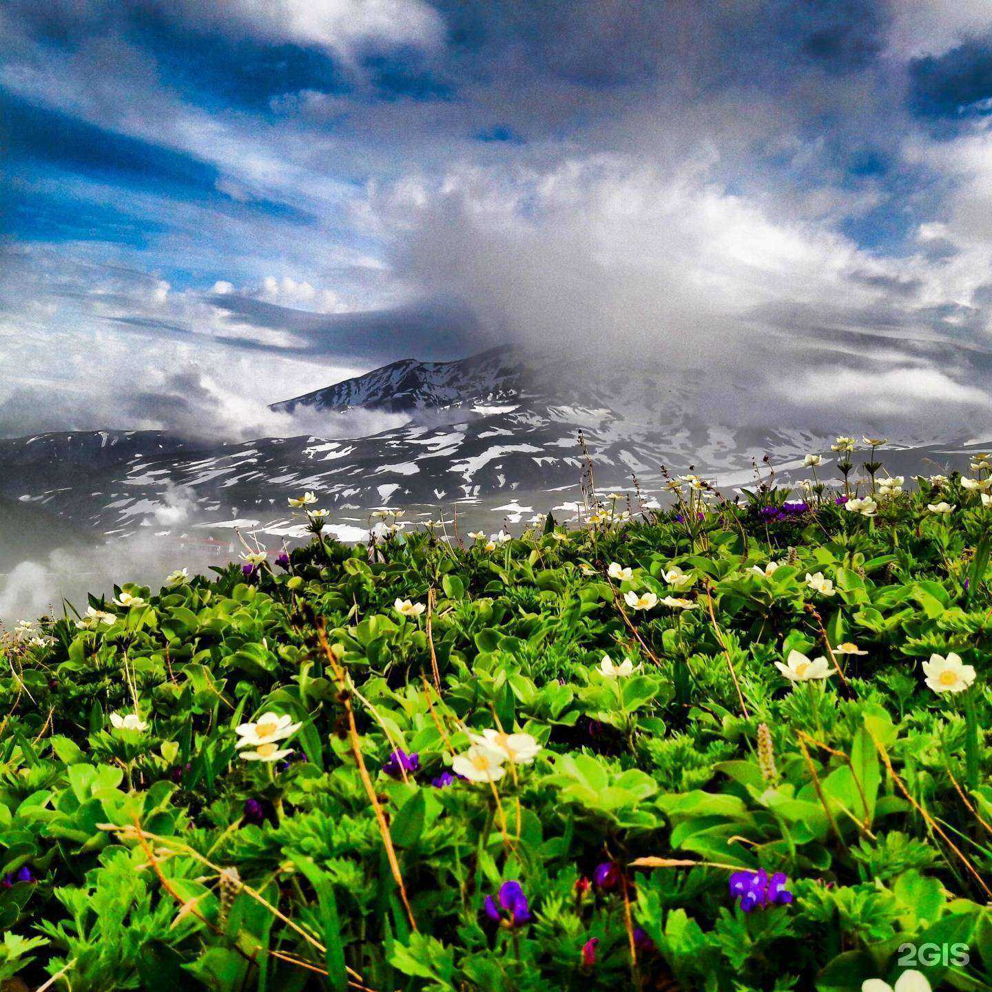 Отзывы на компанию ОрионКамТрэвел в Петропавловске-Камчатском c фото