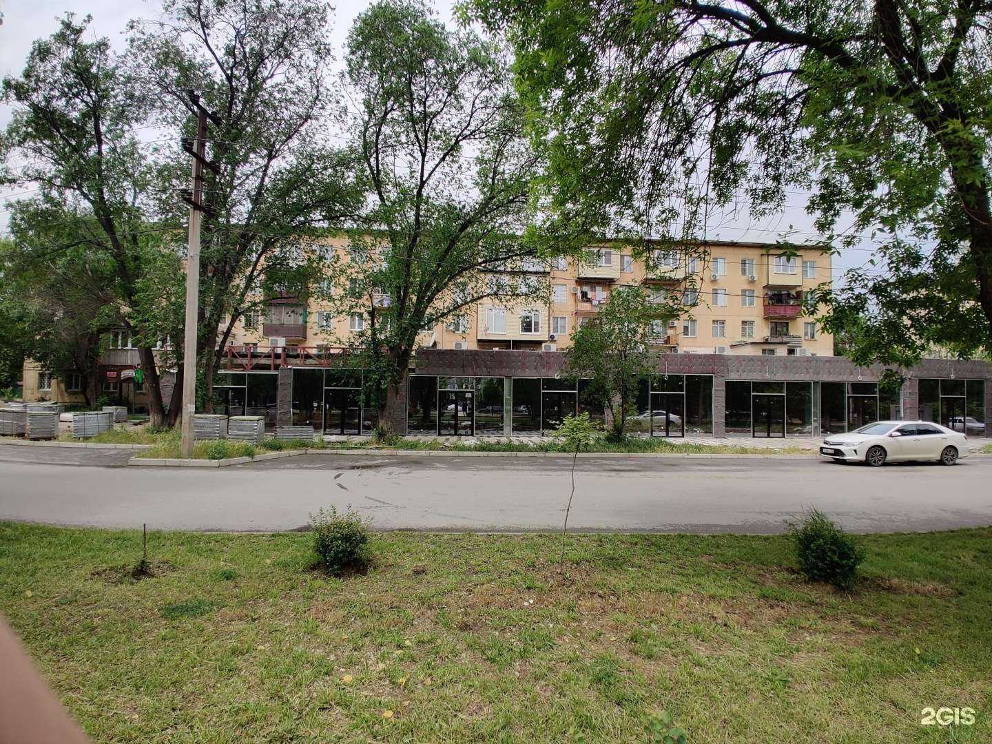 Отзывы на компанию Котопёс в Махачкале c фото - фотография 2 из 2