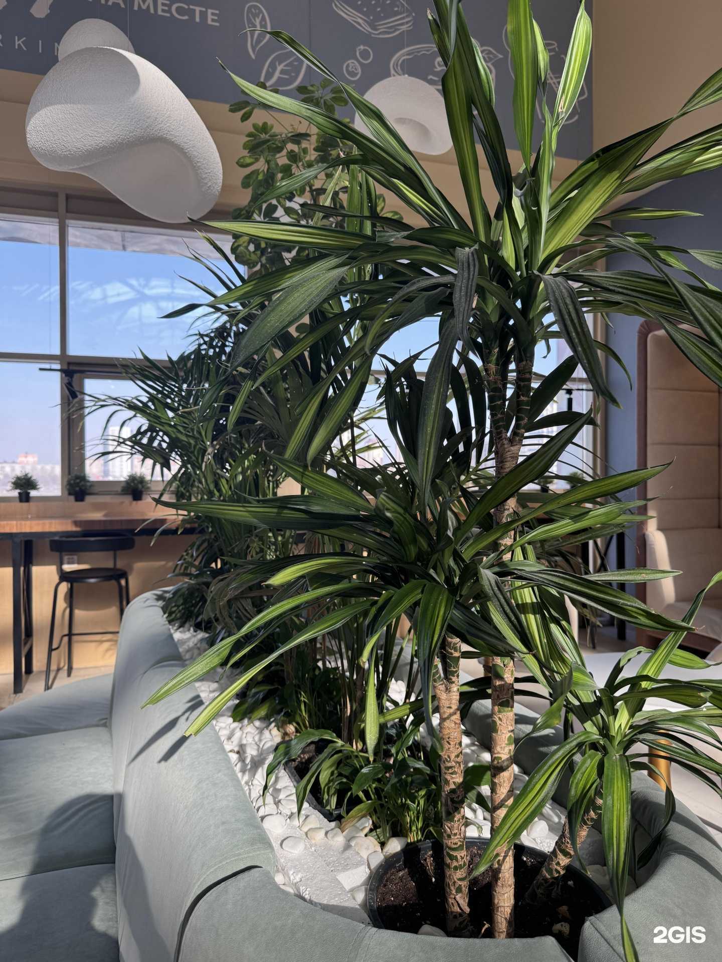 Отзывы на компанию Шеff на месте в г. Новосибирск c фото