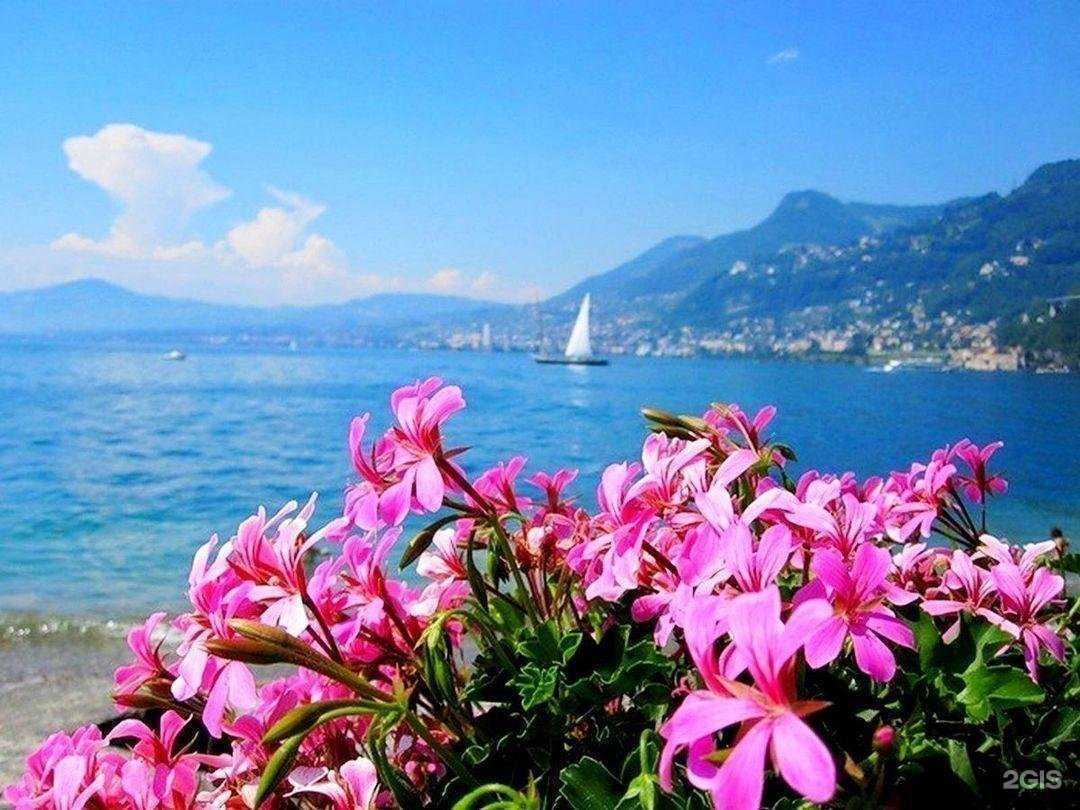 Отзывы на компанию 1001 Тур в г. Ульяновск c фото