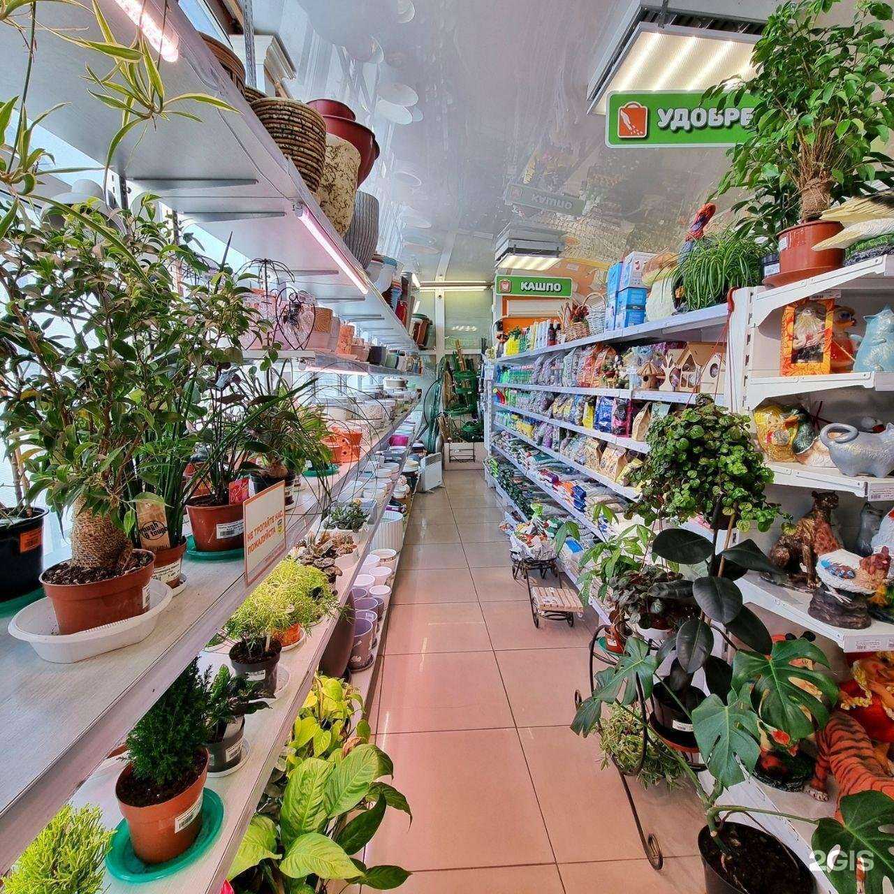 Отзывы на компанию Универсад в г. Владивосток c фото