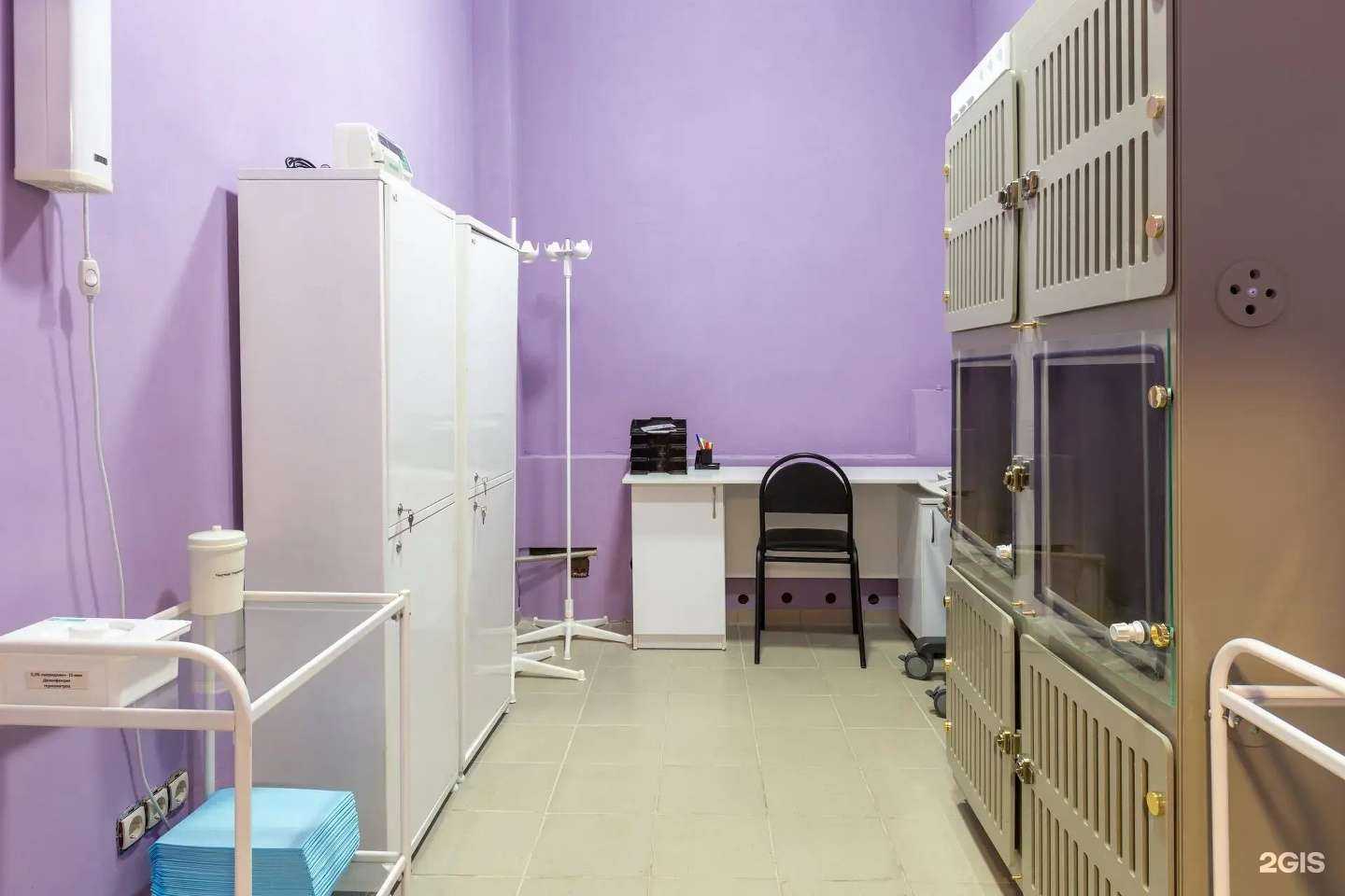 Отзывы на компанию АзбукаВет в Воронеже c фото