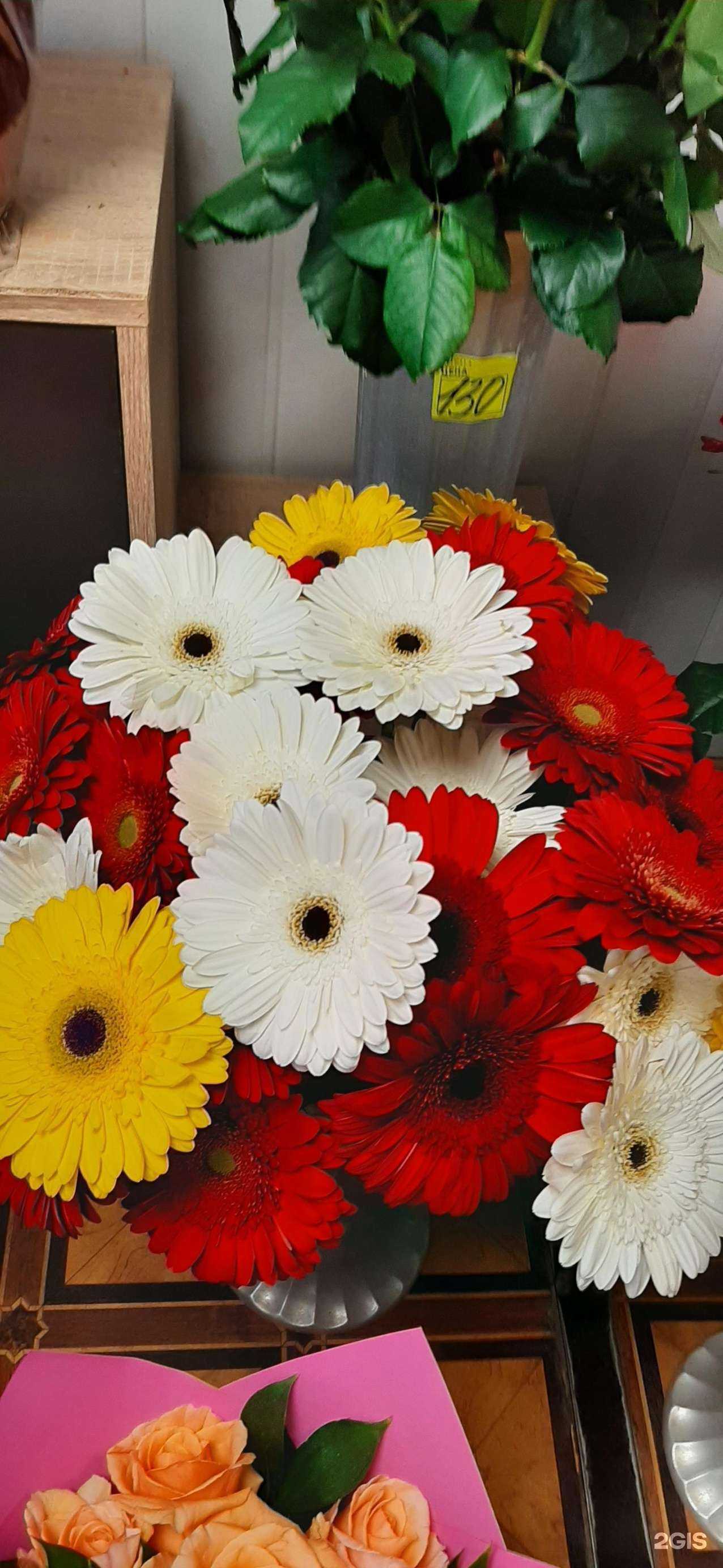 Отзывы на компанию Теплица в г. Краснодар c фото