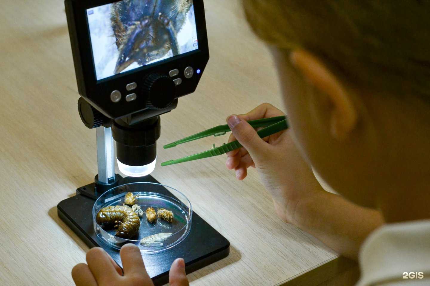 Отзывы на компанию Нахимичим запросто в Абакане c фото