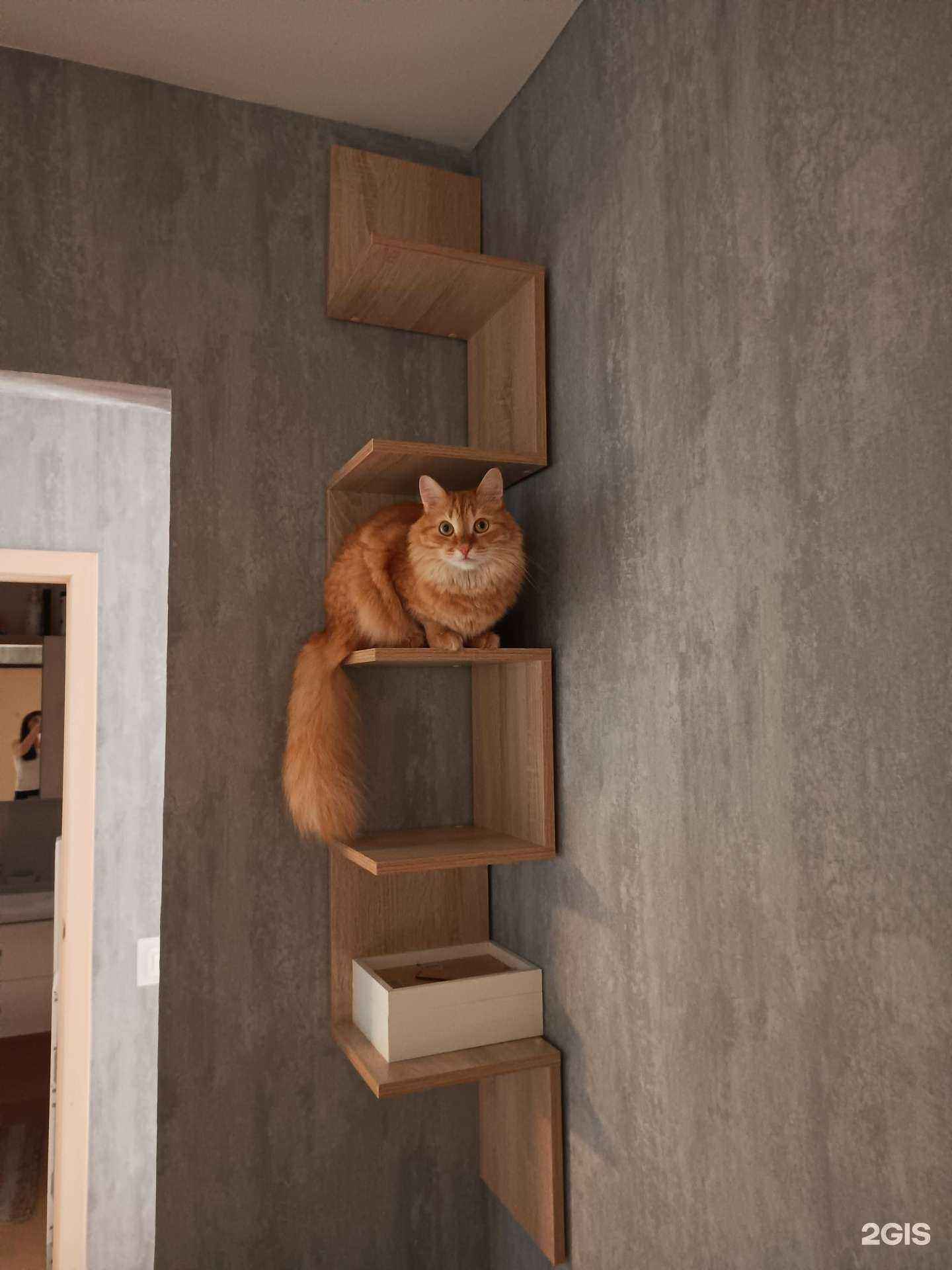 Отзывы на компанию Лучший друг в Верхней Пышме c фото