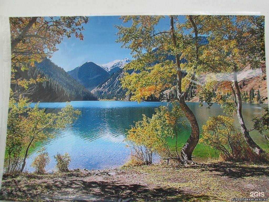 Отзывы на компанию Основная школа №51 в Кемерове c фото