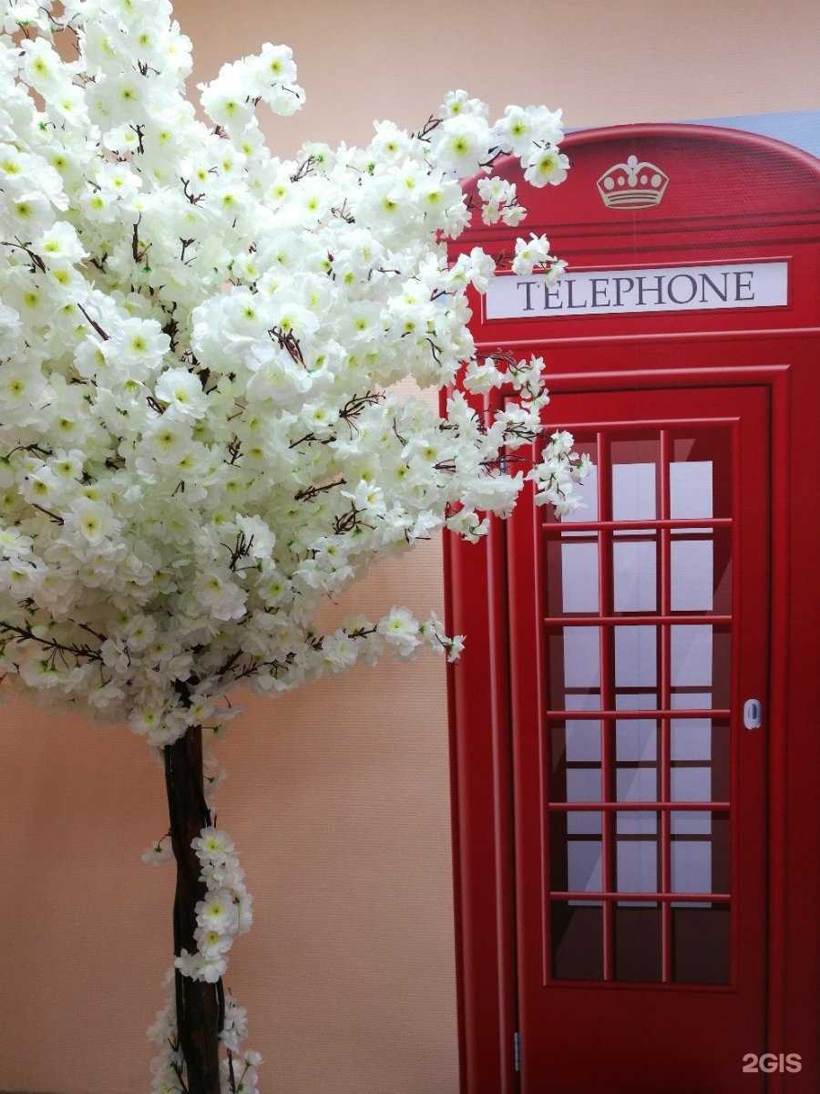 Отзывы на компанию Без границ в г. Владимир c фото