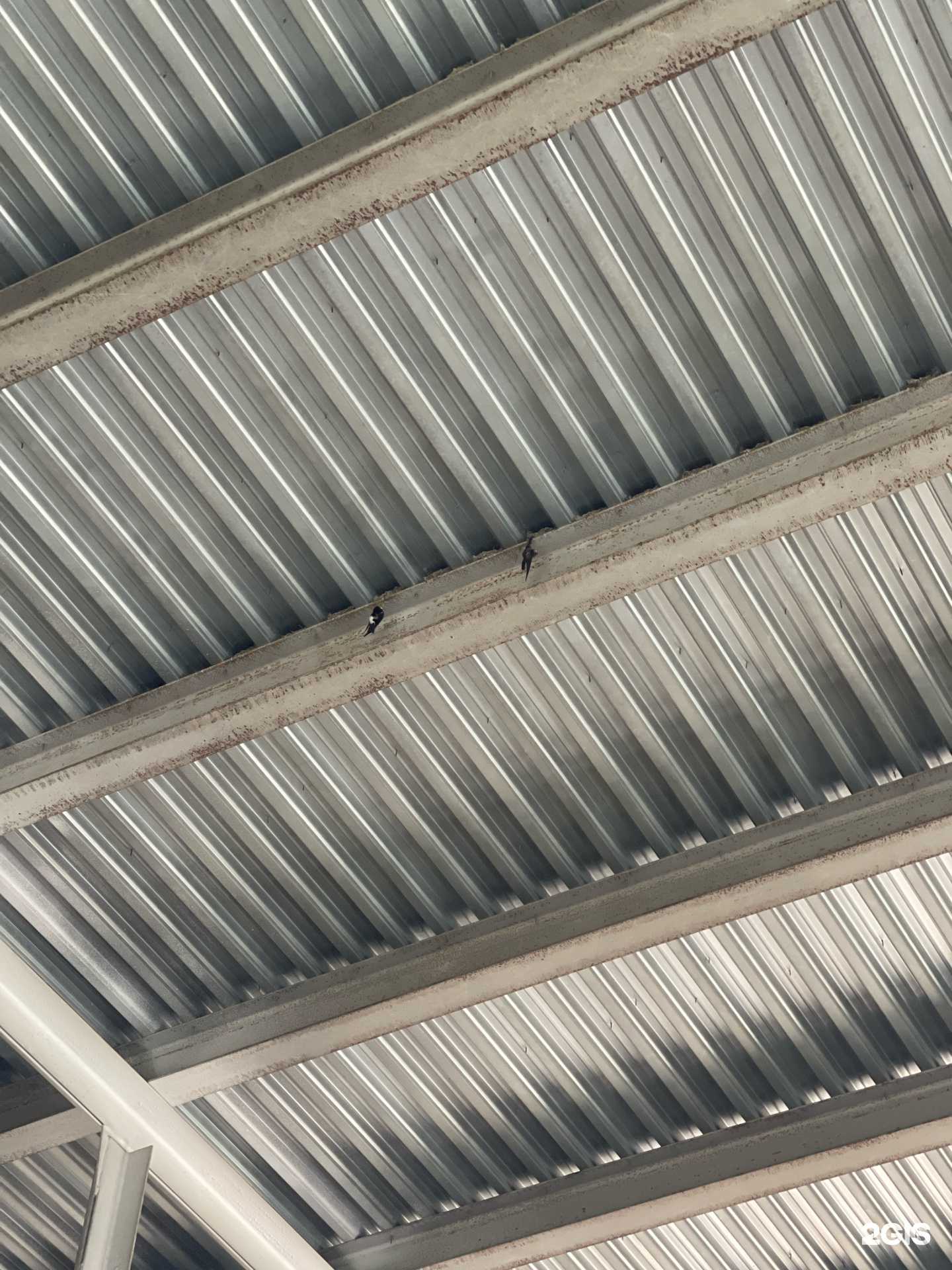 Отзывы на компанию Форум в Южно-Сахалинске c фото