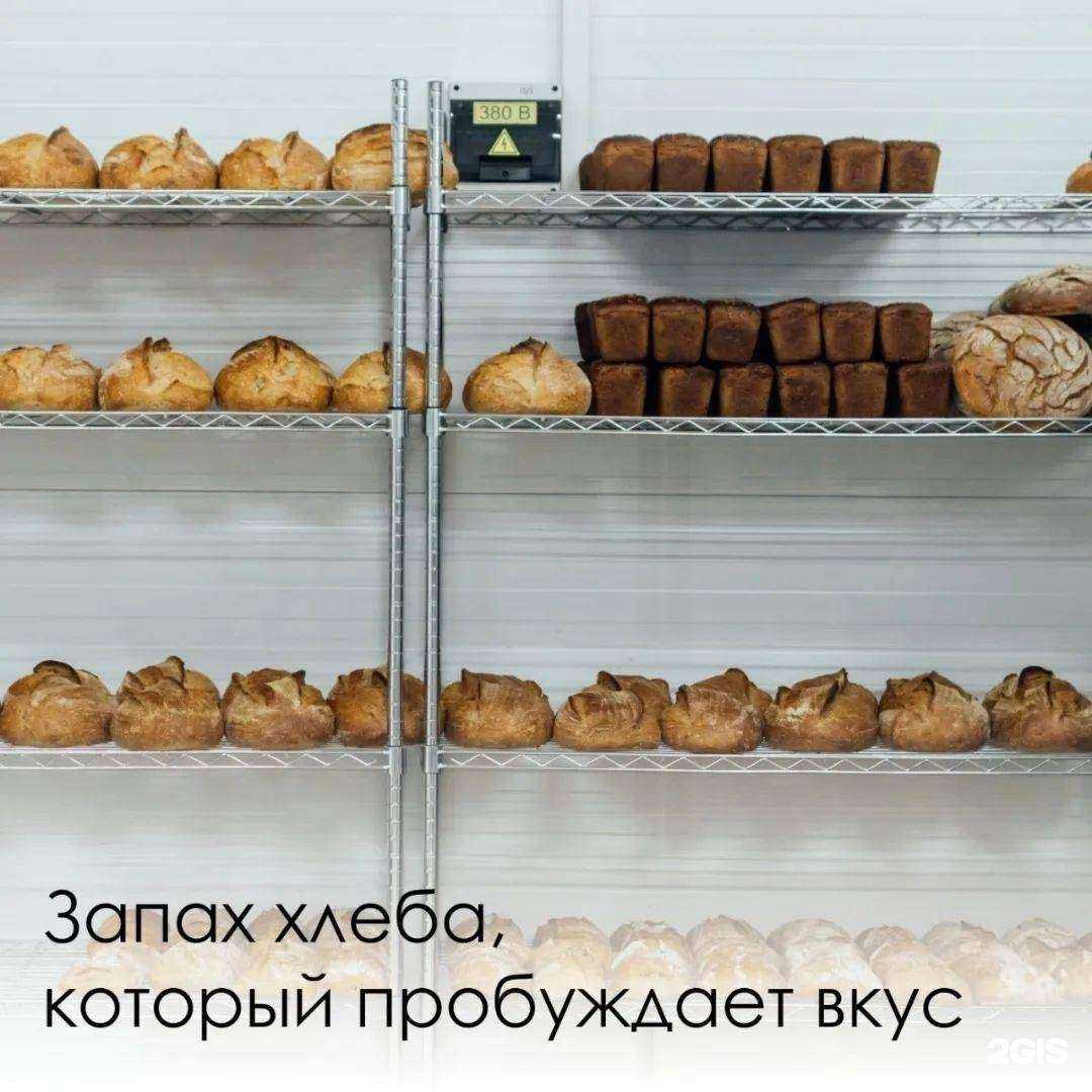 Отзывы на компанию Алауда в Ставрополе c фото