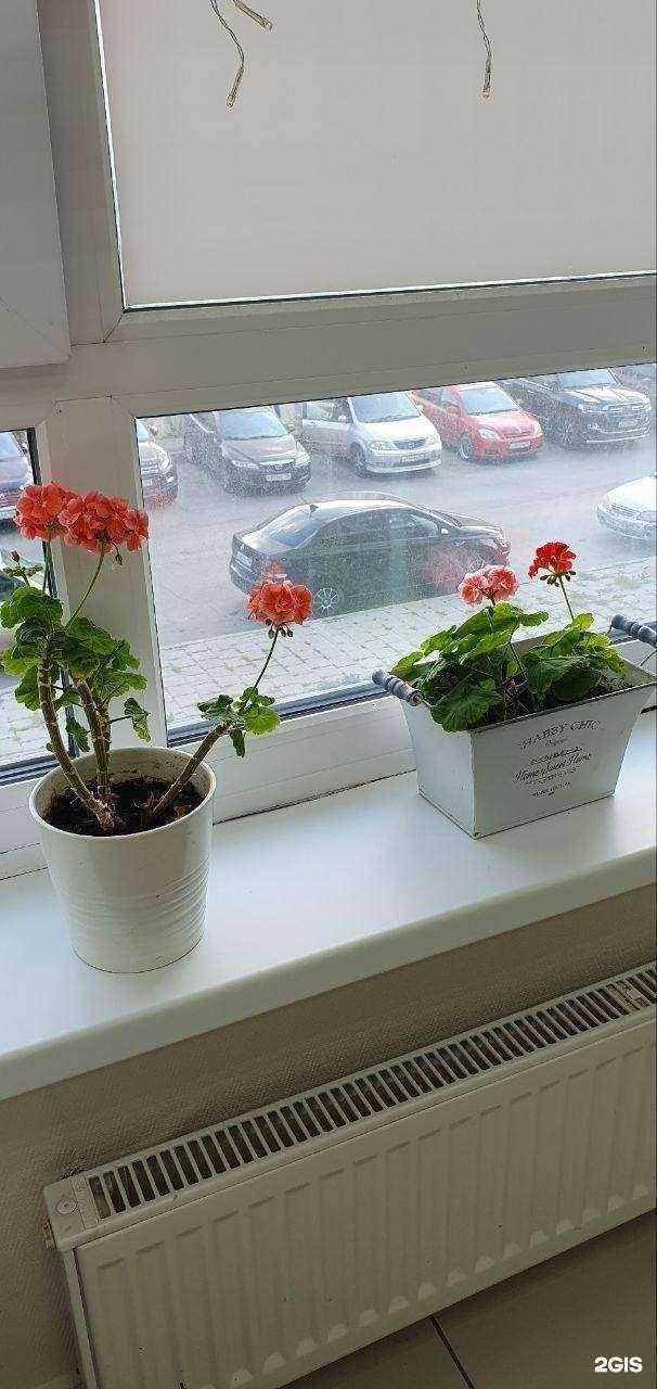 Отзывы на компанию Фелиция в Екатеринбурге c фото